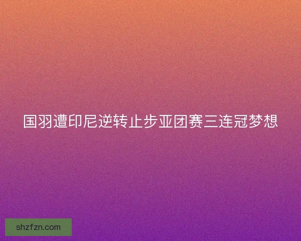 国羽遭印尼逆转止步亚团赛三连冠梦想