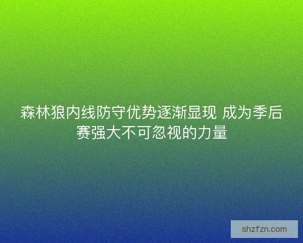 森林狼内线防守优势逐渐显现 成为季后赛强大不可忽视的力量
