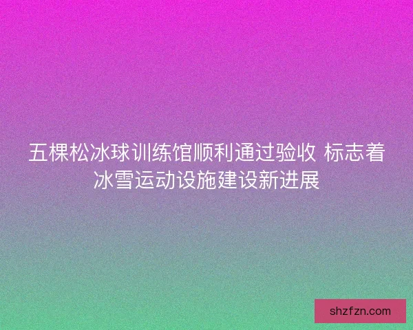 五棵松冰球训练馆顺利通过验收 标志着冰雪运动设施建设新进展