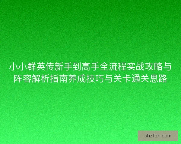 小小群英传新手到高手全流程实战攻略与阵容解析指南养成技巧与关卡通关思路